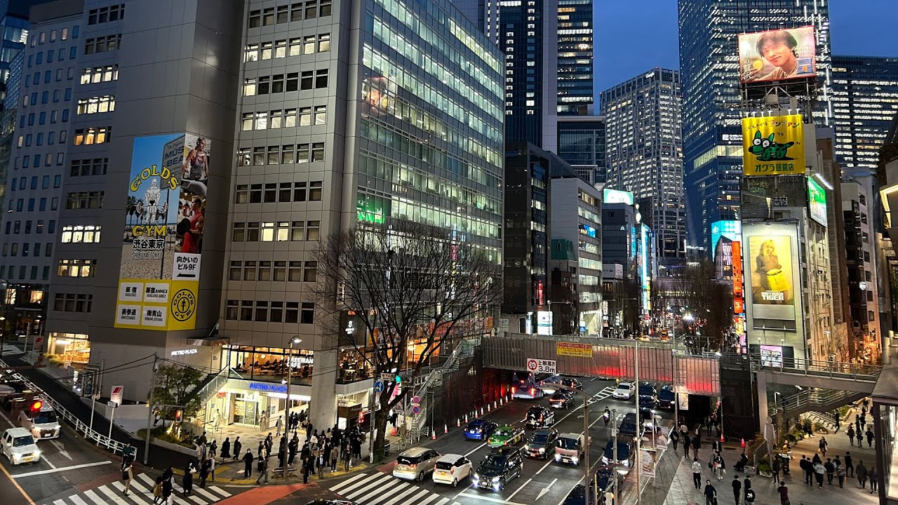 Tokyo in 10 Seconds | 10秒で東京