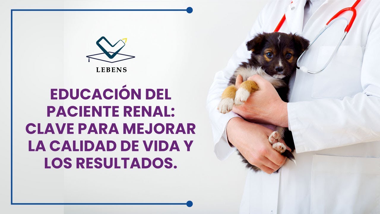 EDUCACI&Oacute;N DEL PACIENTE RENAL: CLAVE PARA MEJORAR LA CALIDAD DE VIDA Y LOS RESULTADOS.