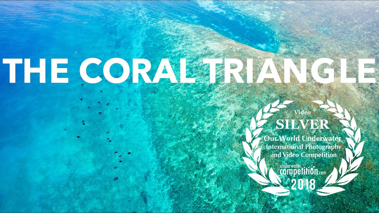 The Coral Triangle: 2nd PLACE  OUR WORLD UNDERWATER PHOTO COMPETITION 2018