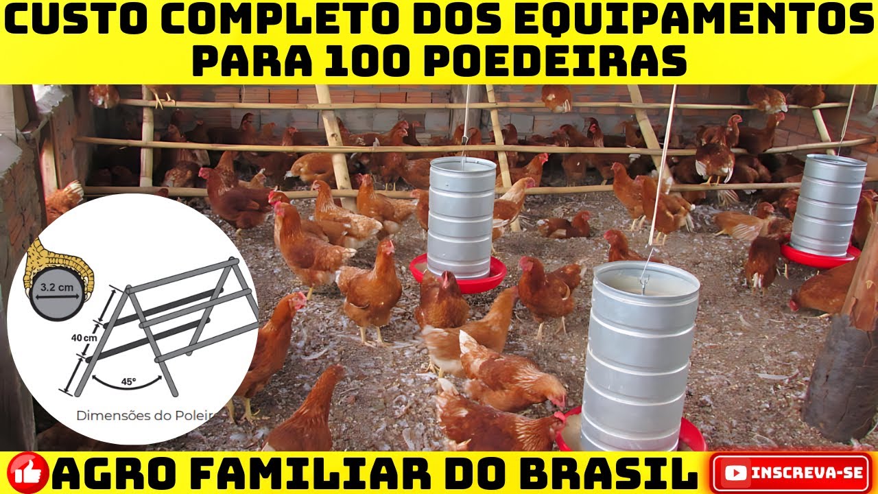 EQUIPAMENTOS PARA 100 GALINHAS: INVESTIMENTO INICIAL PARA&nbsp;SUA GRANJA DE 100&nbsp;POEDEIRAS CAIPIRA