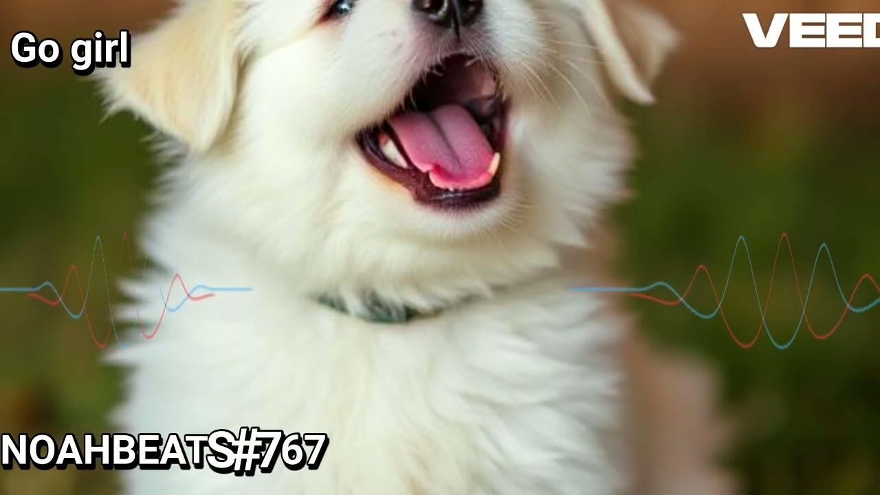 NoahBeats#767   Go girl (Bouyon instrumental)