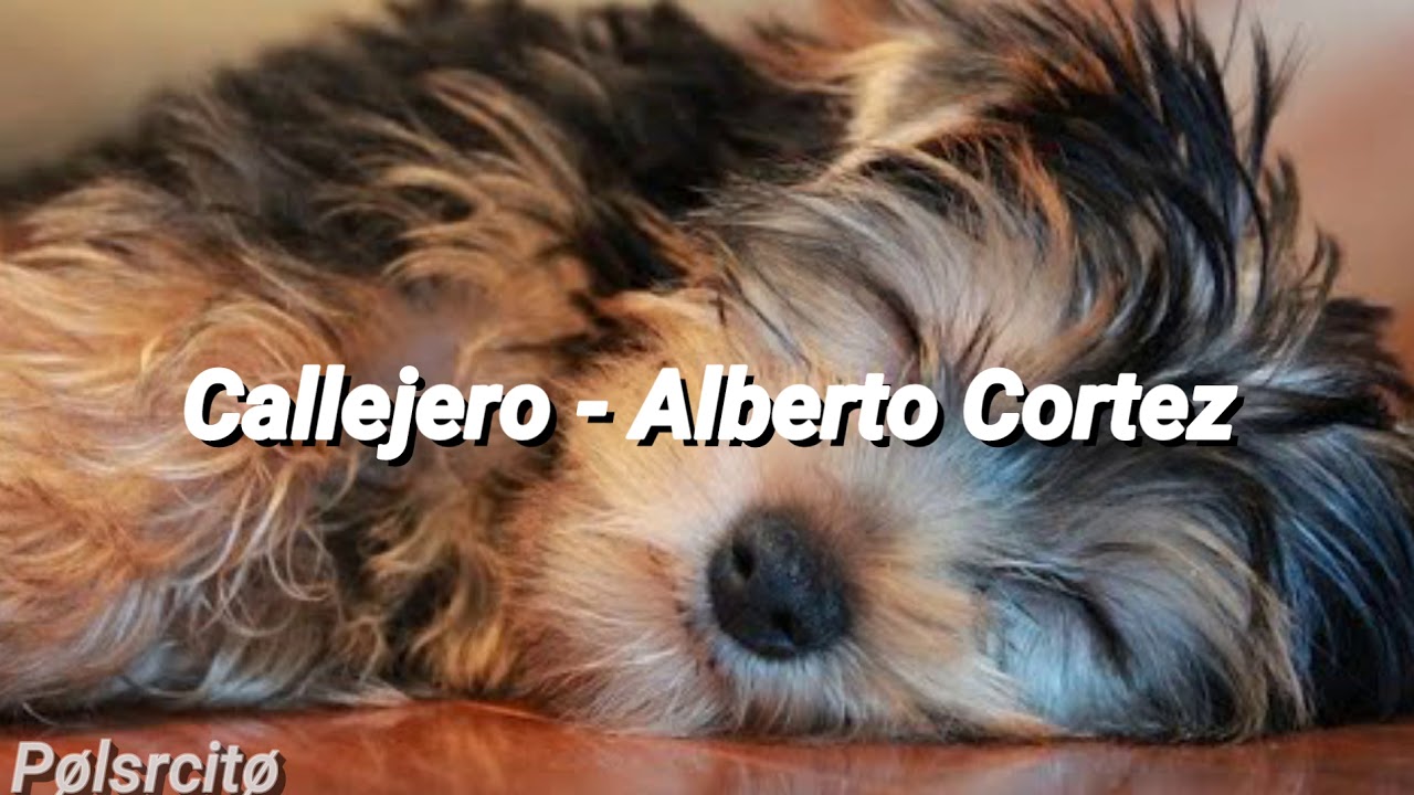 Callejero - Alberto Cortez // Letra.