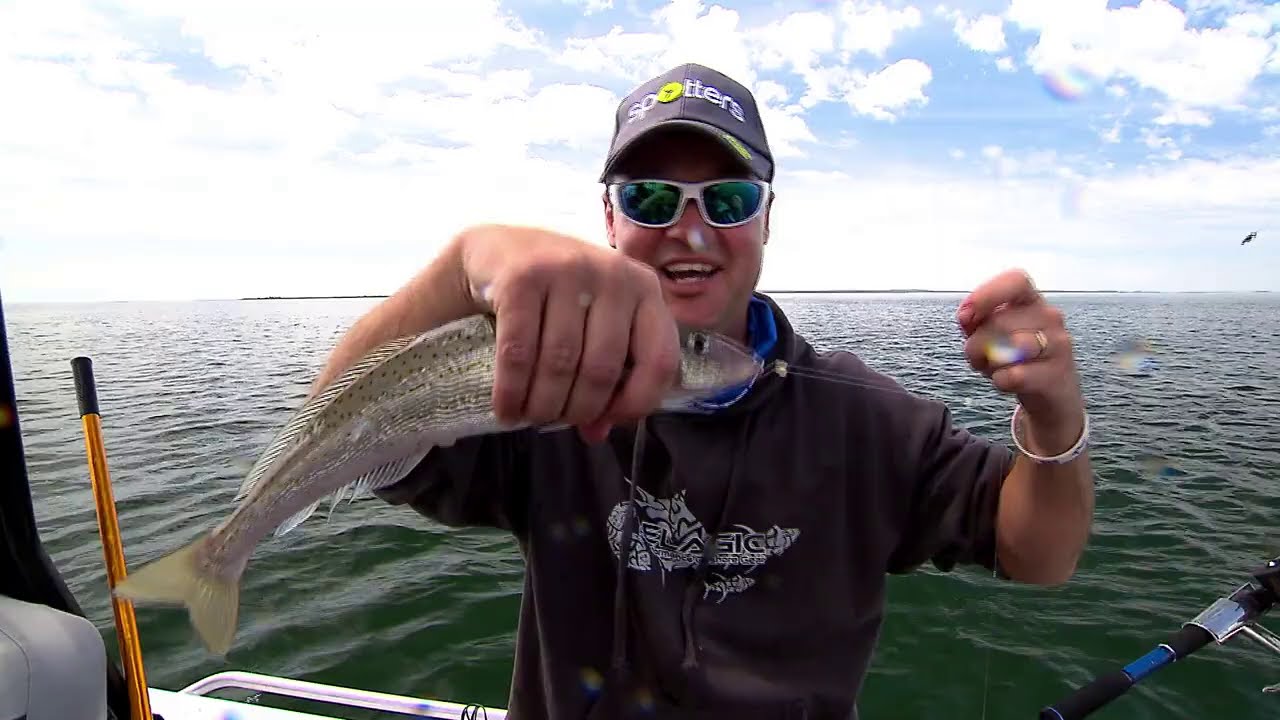 IFISH Western Port Whiting