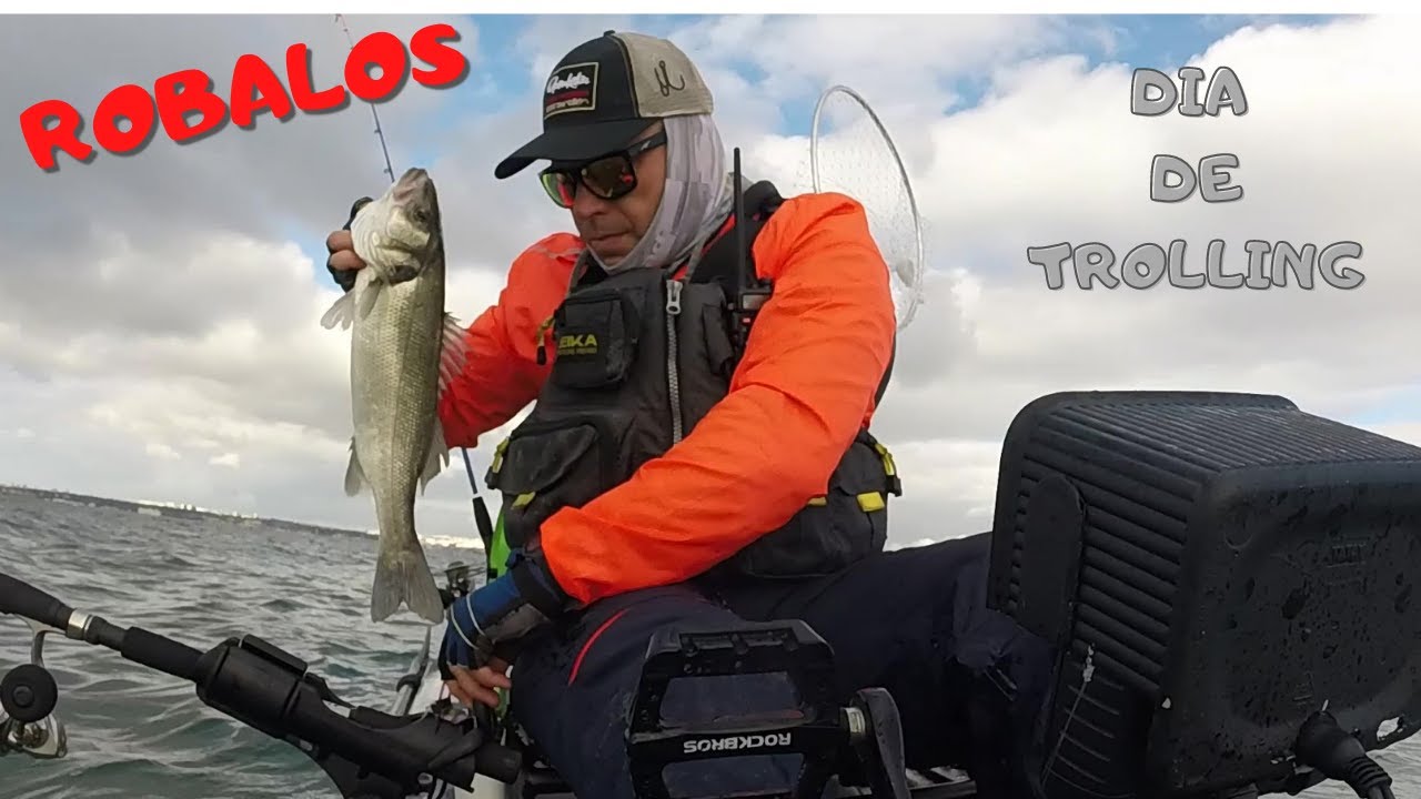 ROBALOS - SEA BASS - LABRAX - TEJO 21