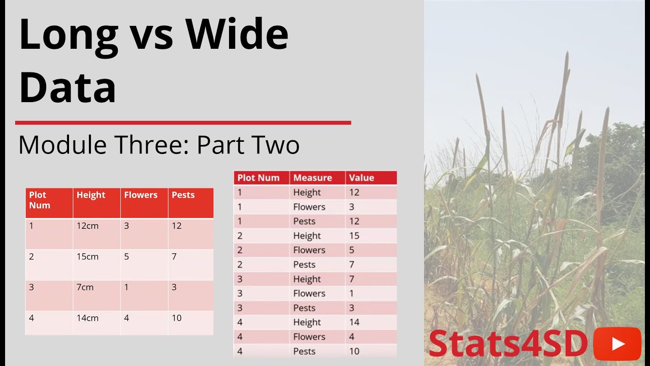 Data Management: Long vs Wide Data