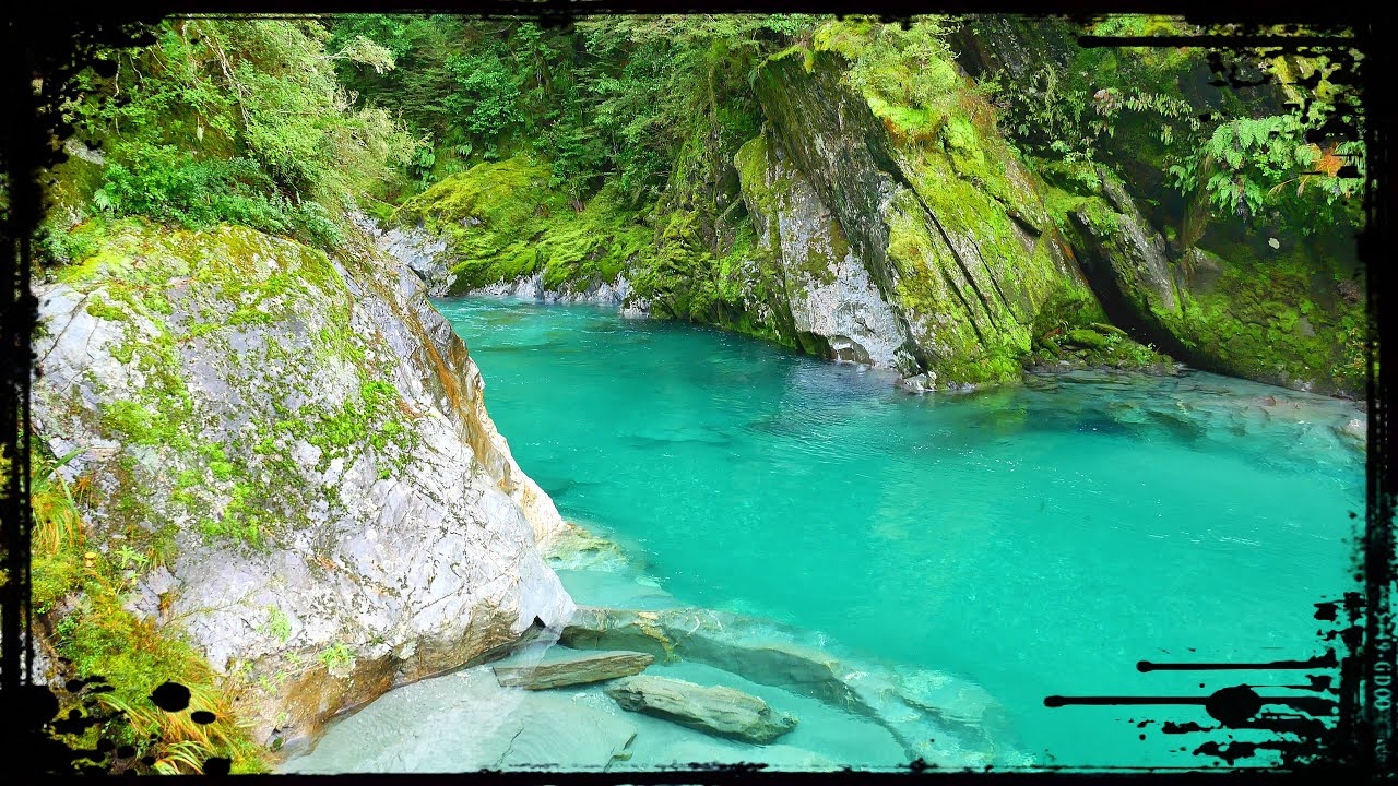 New Zealand DREAMWORLD! Blue Pools and Blue Valley Track 🇳🇿 Haast Pass, Mt. Aspiring National Park