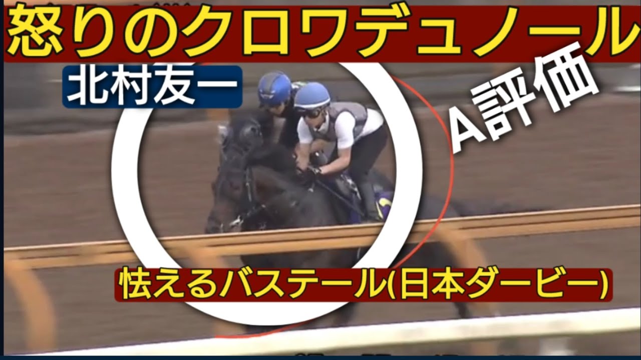 宝塚記念 クロワデュノール 北村友一 調教 競馬予想