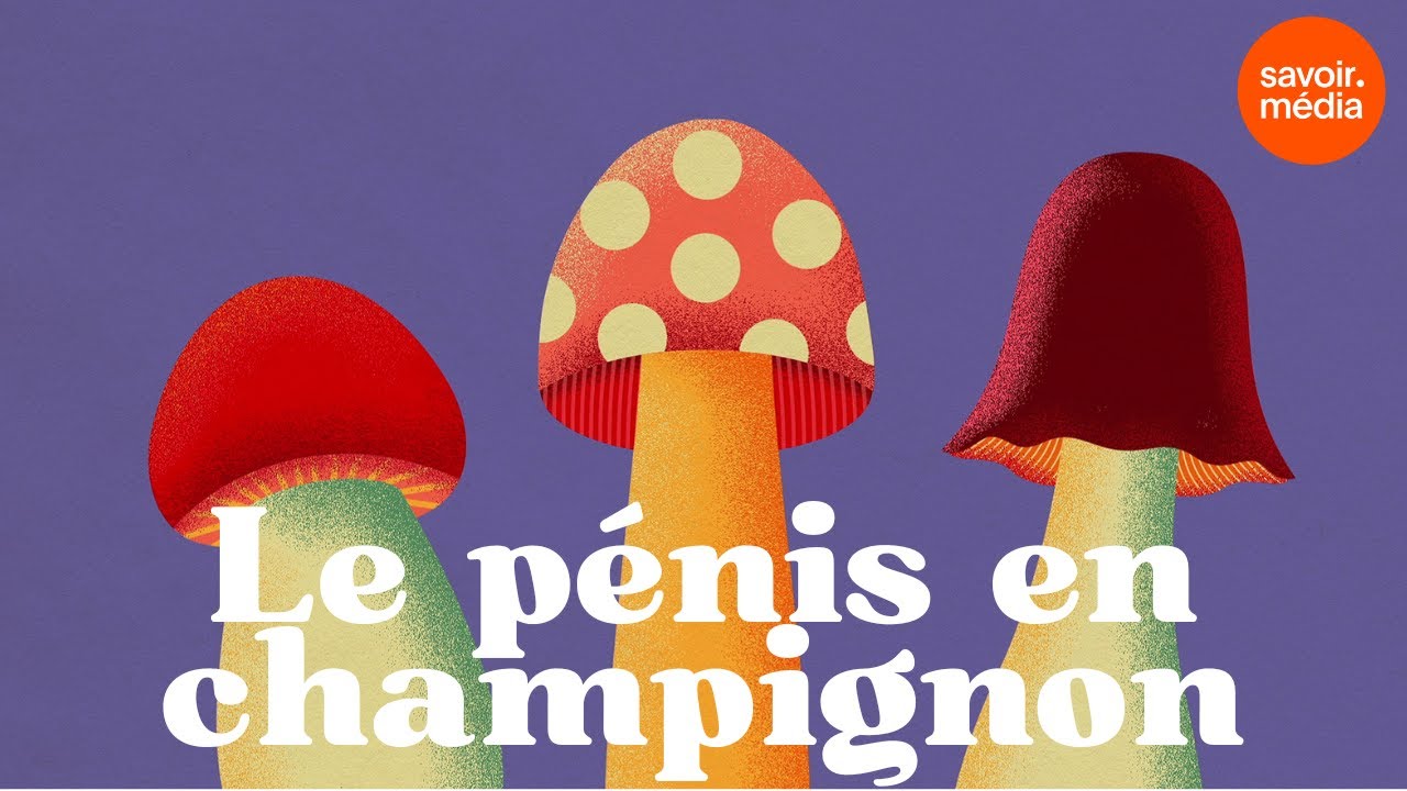Le pénis en champignon - Les minutes du sexe