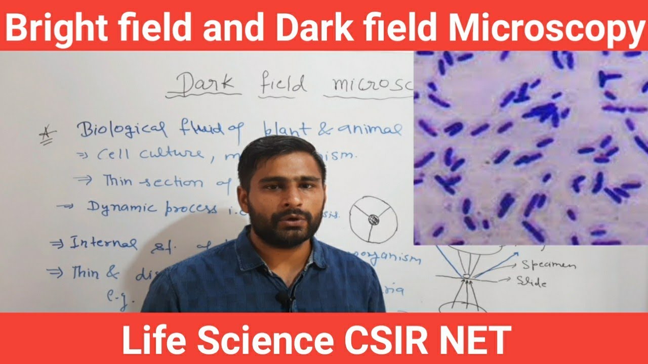 Bright field and Dark field Microscopy || Application of Bright field and Dark field Microscopy