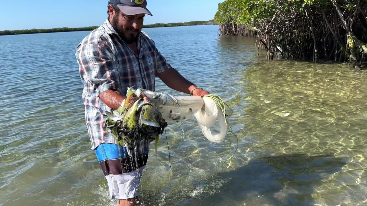 Sacando sardinas para comer