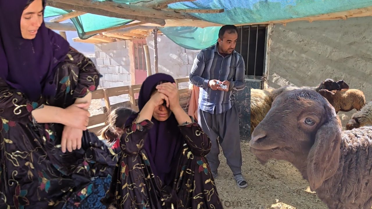Sakineh is mourning Najmeh 😭: Her deep sadness for Najmeh