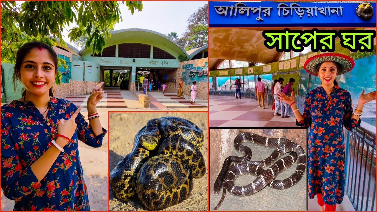 Kolkata Zoo Snake House |  আলিপুর চিড়িয়াখানা ভ্রমণ | Alipur zoo snake house | Alipore Chiriyakhana