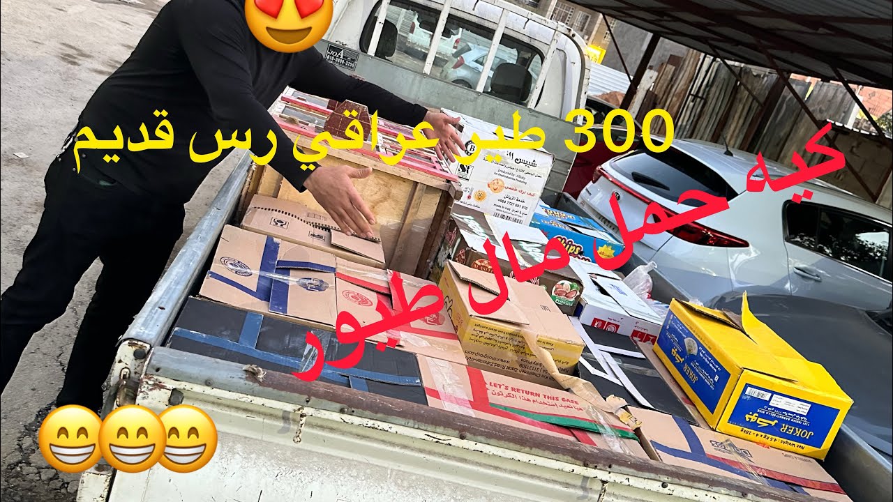 جبتلكم كيا طيور😎300 طير رسوس مختلفه😍😃😍شذاري😱حباري🥹طيورزينه🥰😍🥰😍عنابرسره😇😇😇😇😇