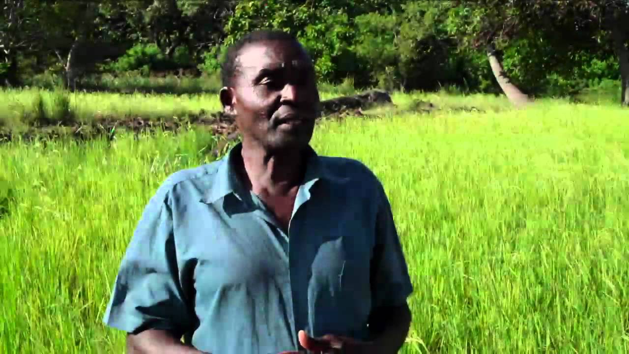 Ozi Village Chief in Kenya Explains Impacts of Dams on Tana River