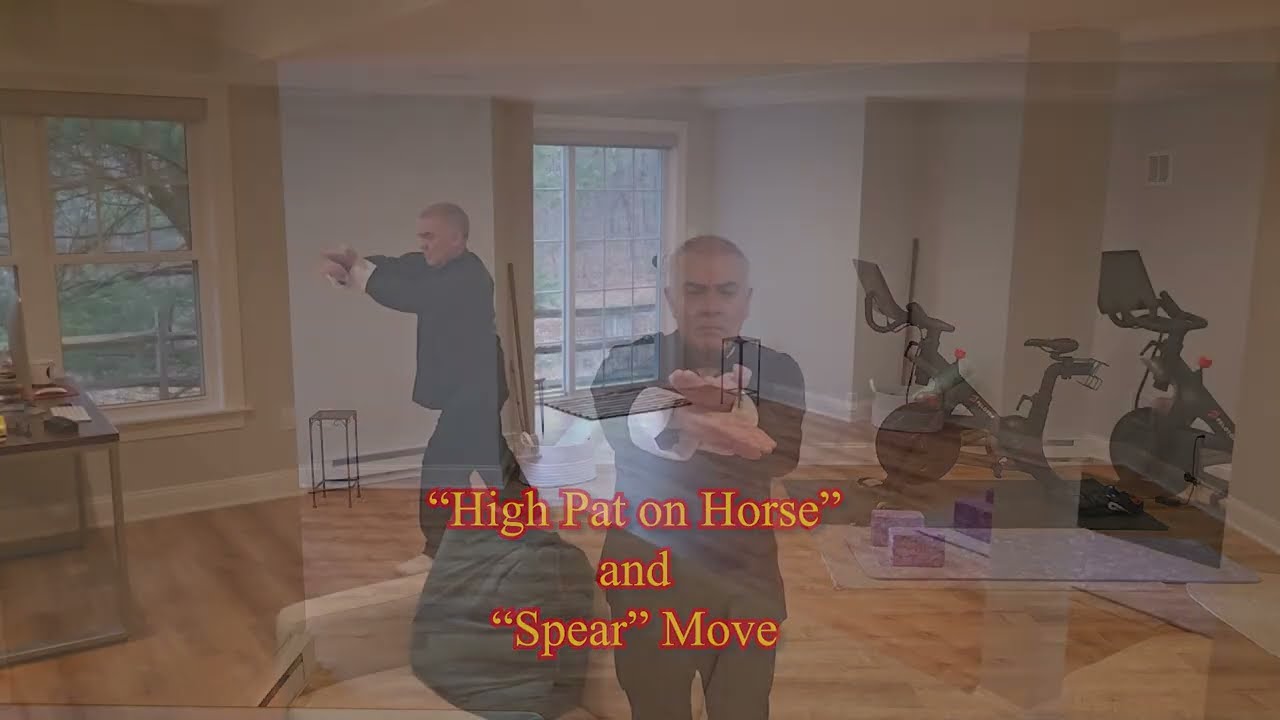 Yang Style 24 Step Tai Chi Form MASTER
