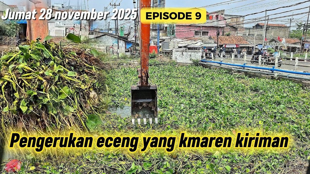 ‼️EPISODE 9 pengangkatan eceng gondok kiriman  masih berlanjut di rengasdengklok 