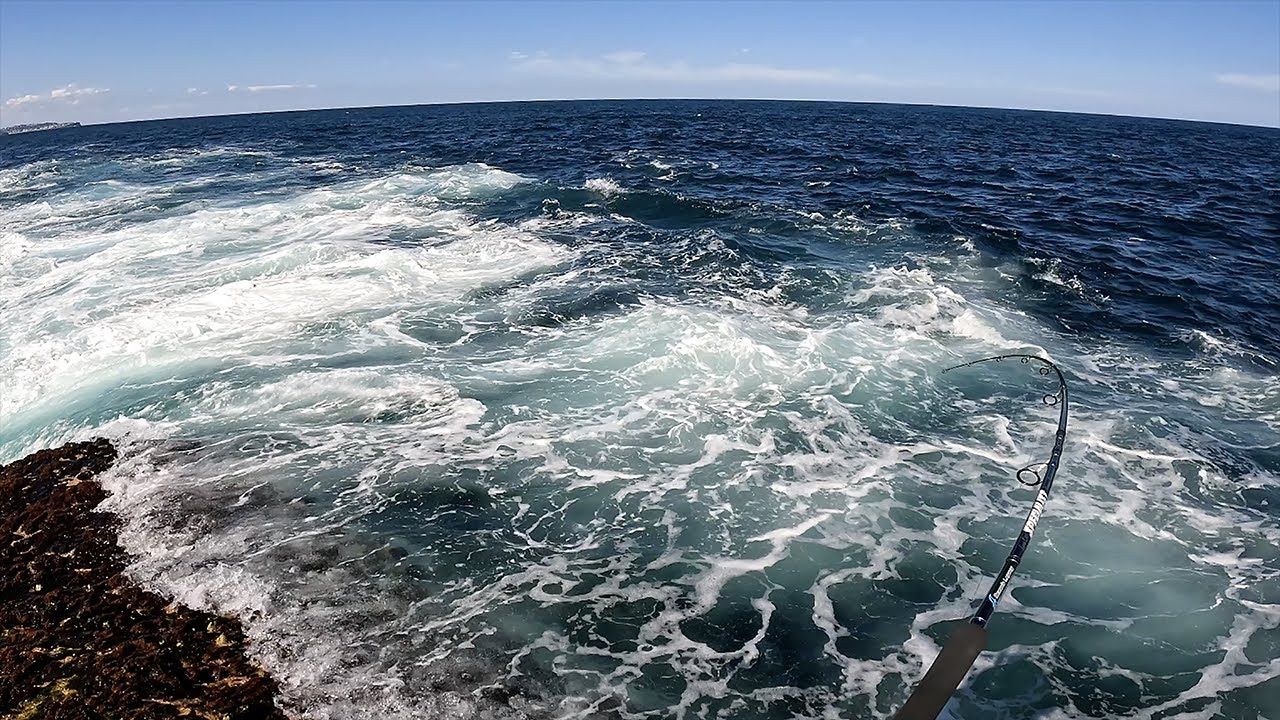 Starting summer on the ledge in Sydney - Bugsy Fishing - Ep 37   4K
