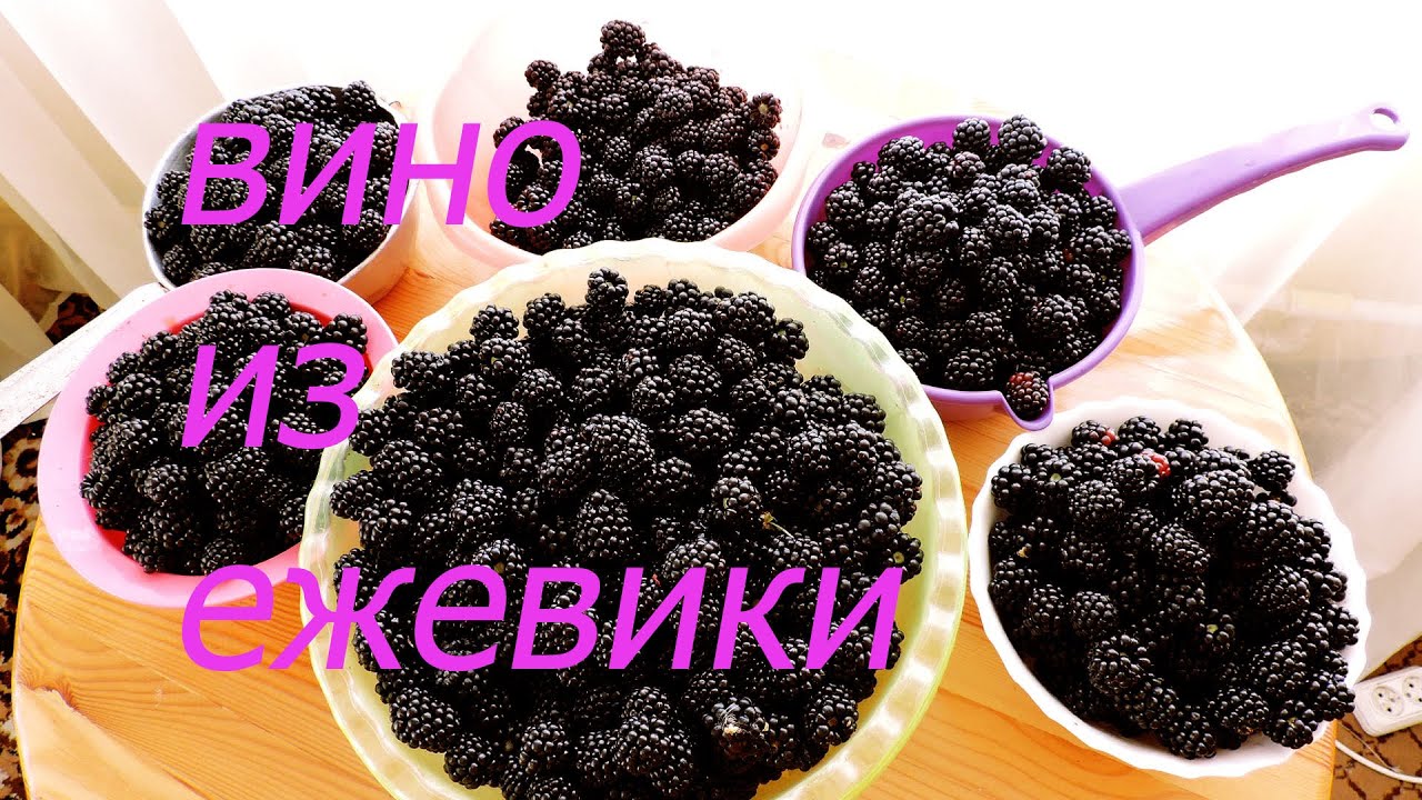 ЕЖЕВИЧНОЕ ВИНО. Легкий и супервкусный рецепт!