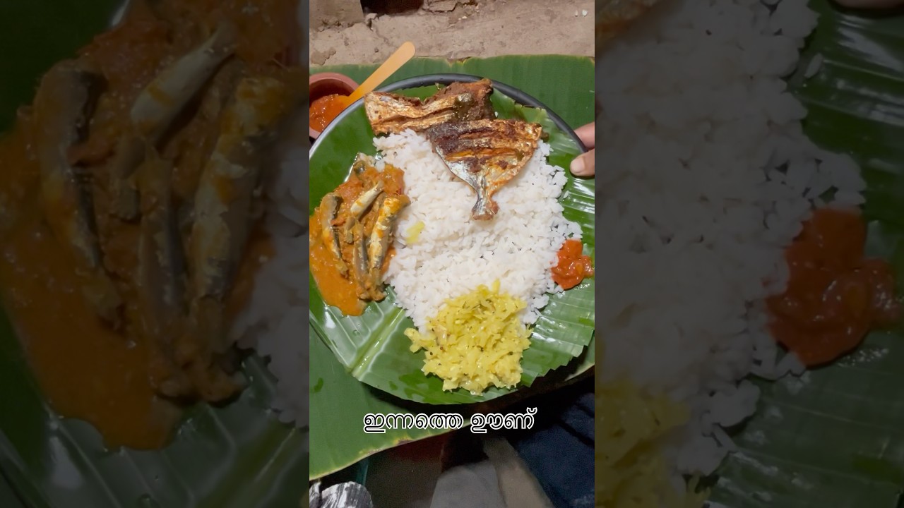 തനി നാടൻ ഊണ്  