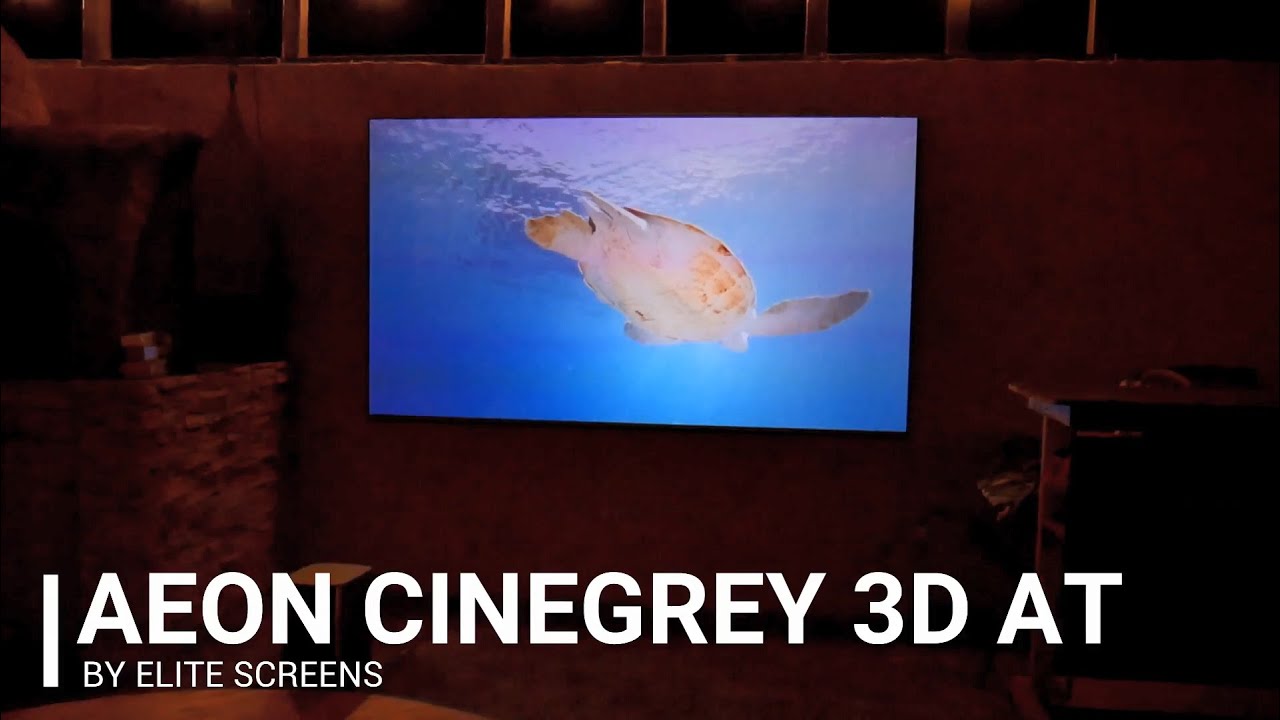 ♾️Elite Screens Aeon CineGrey 3D&reg; Ambient Light Rejecting Acoustic Transparent Screen by JoelsterG4K
