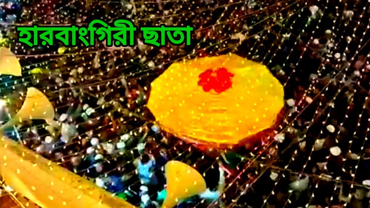 হারবাংগিরী আওলাদ ছাতা নিয়ে আসার বিশেষ মুহূর্ত ।। ১০ মাঘ ২০২৬ইং