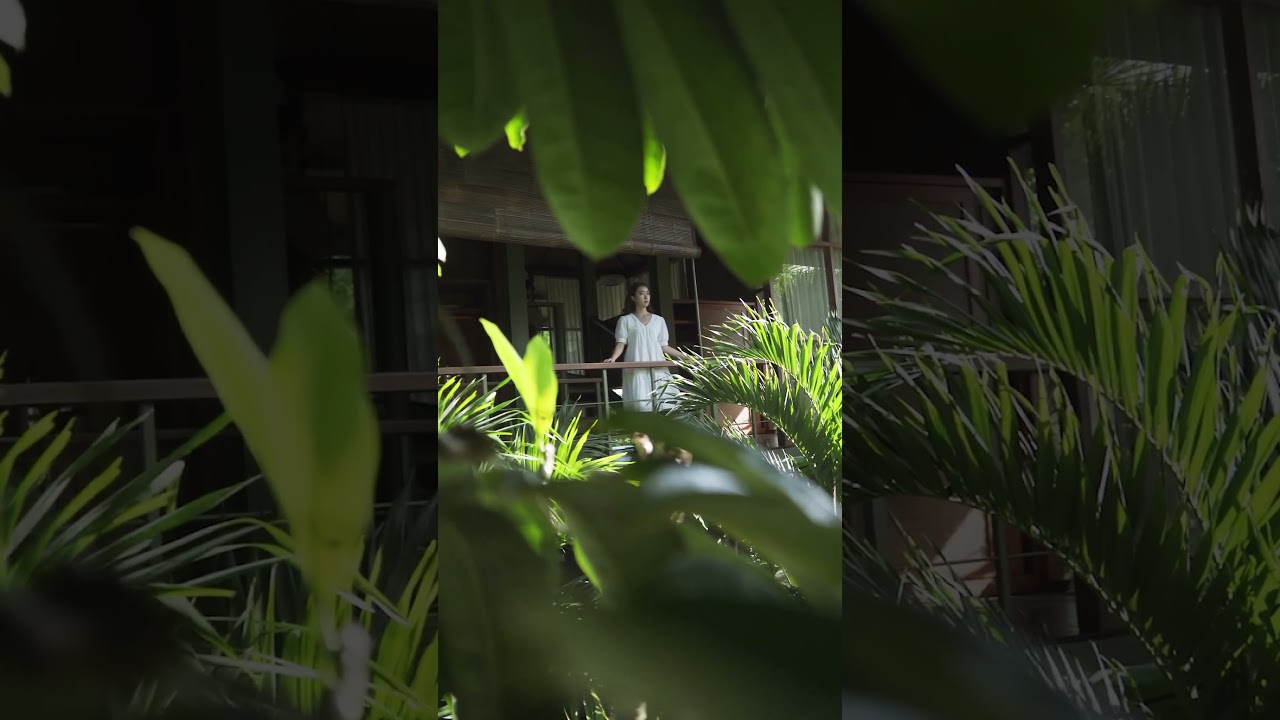 Gr&uuml;n Canggu Garden Ambiance #baliresort #balivillas #bali #resort #villa #canggu #resortbali
