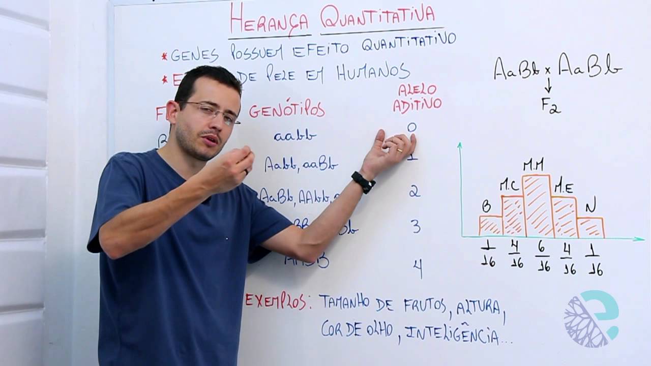 Interação gênica: herança quantitativa