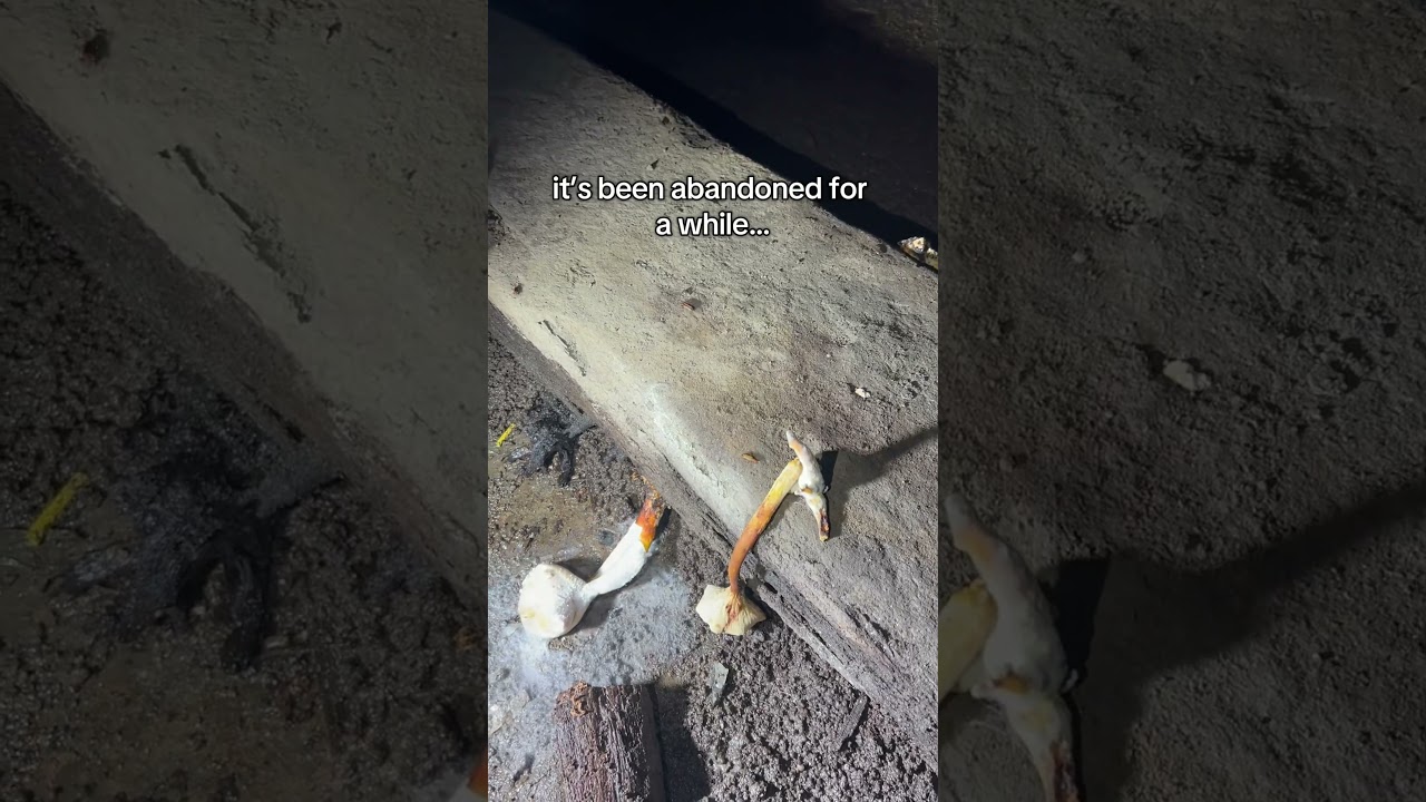 we found tunnels under chicago&hellip;