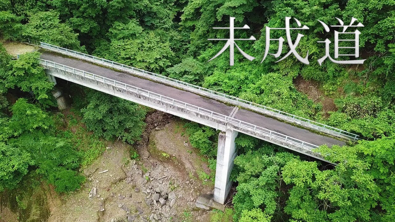 【未成道】宮ヶ瀬湖畔の放棄された橋梁群とトンネル【清川村道土山高畑線】