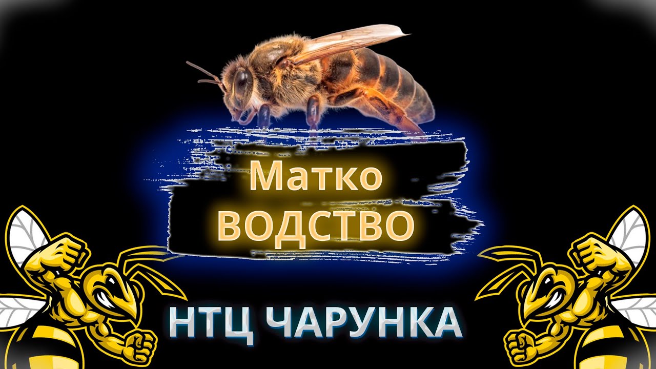 Лекция по Матко-водству в НТЦ Чарунка