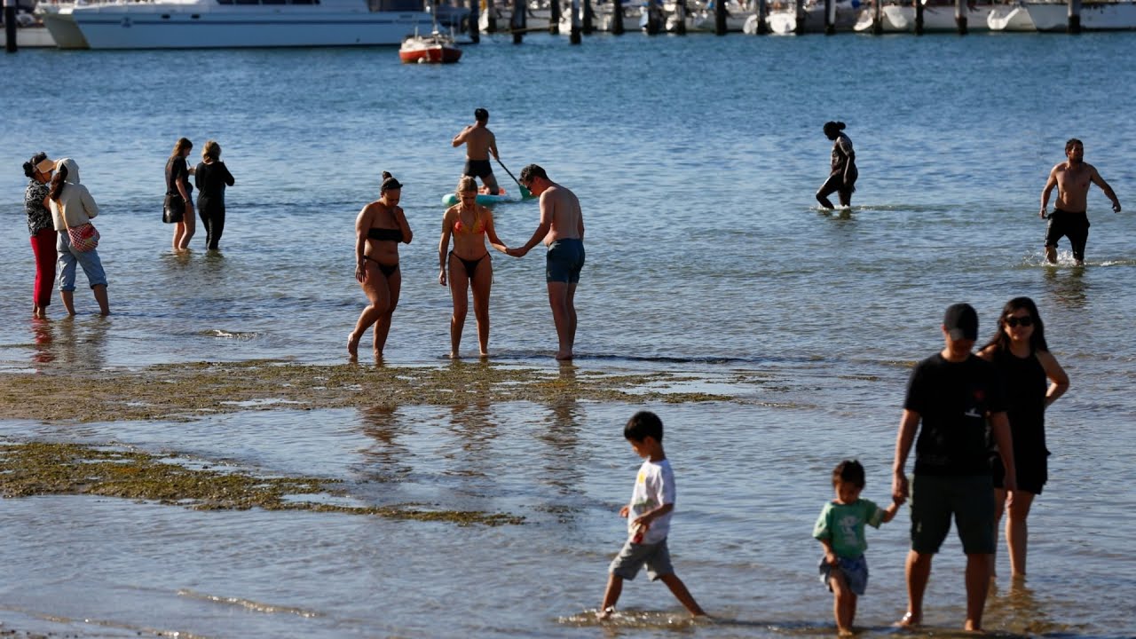 Rainfall impacts beach water quality for swimmers