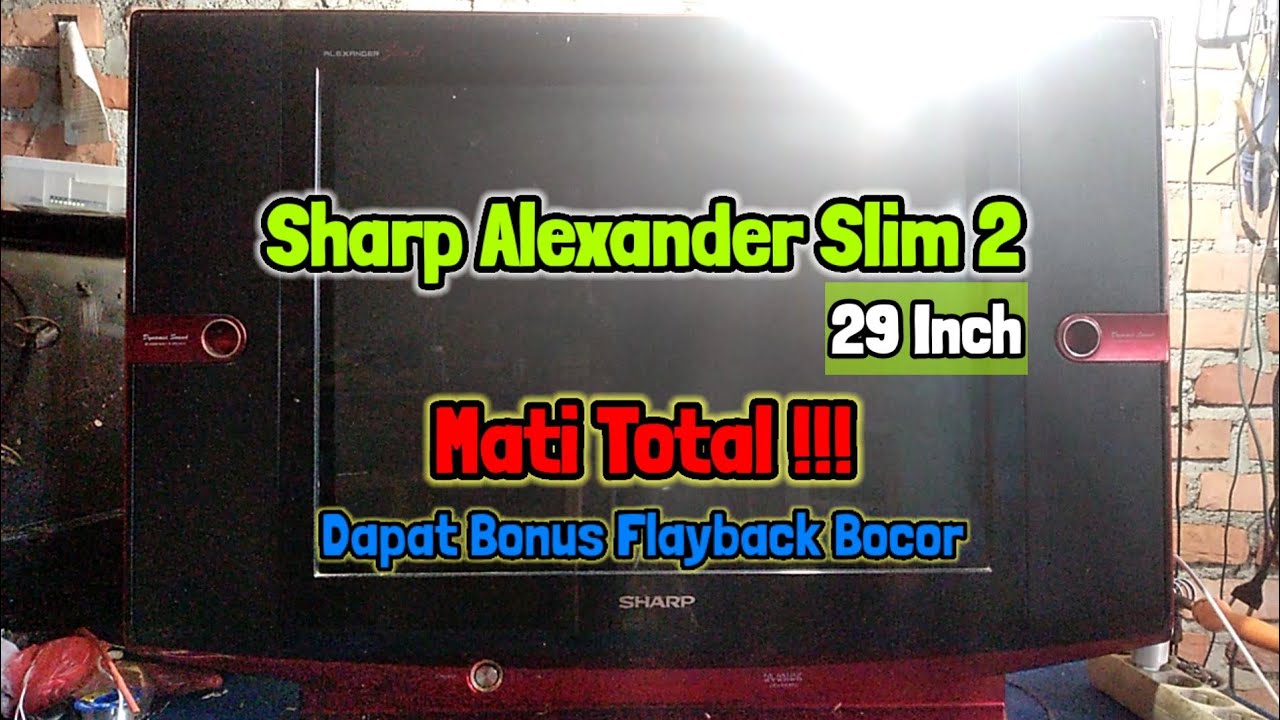 TV Sharp Alexander Slim 29 Inch Mati Total