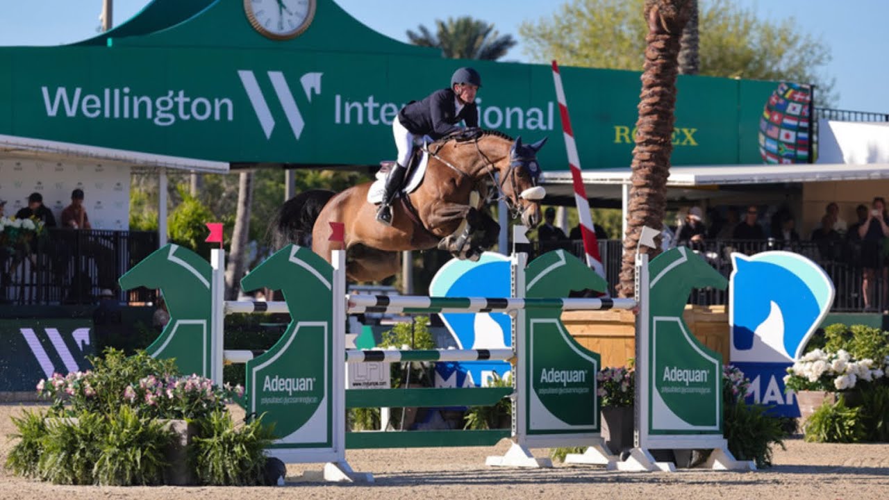ZERO K  & Darragh Kenny LR 155  WEF 2025  Challenge Cup