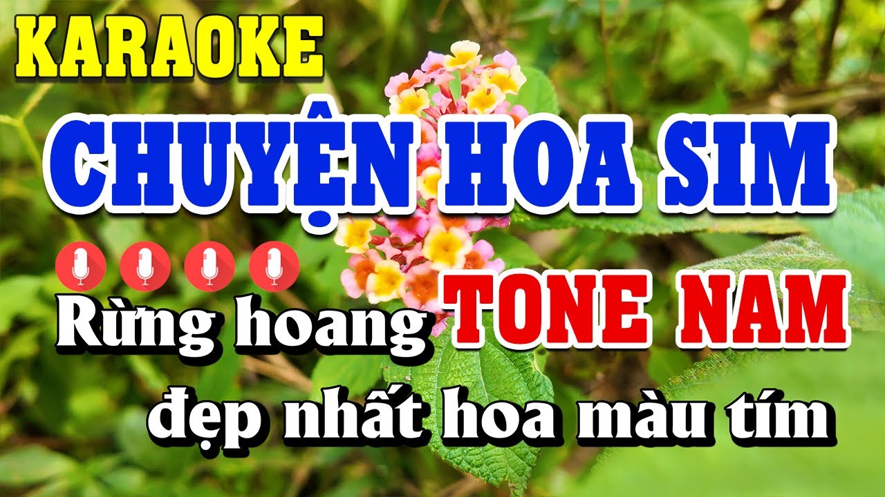 Chuyện Hoa Sim Karaoke Tone Nam ( C#m ) Beat Chuẩn | Linh Linh Karaoke