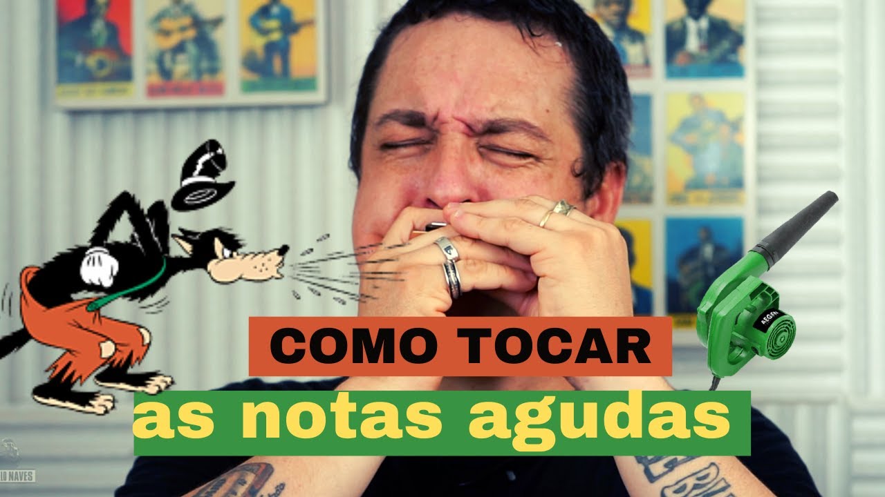 Como tocar o agudo da Gaita @ Dicas de Gaita