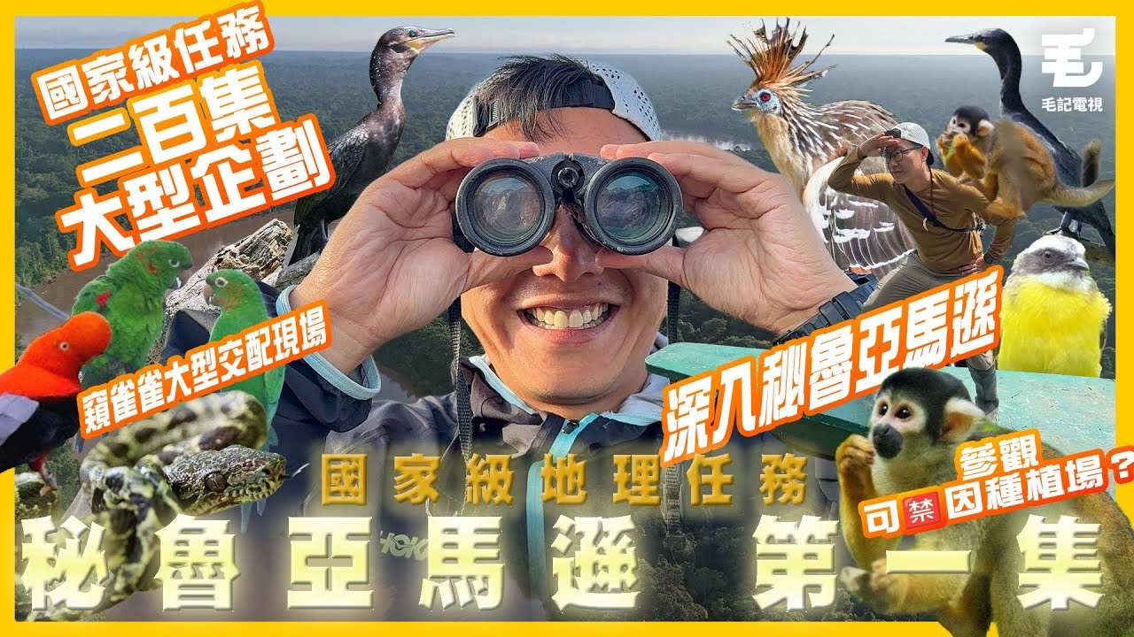 第二百集大型企劃‼️深入秘魯亞馬遜🌲偷窺雀雀大型交配現場😏見證可X因種植場？《國家級地理任務》秘魯亞馬遜 Ep.1