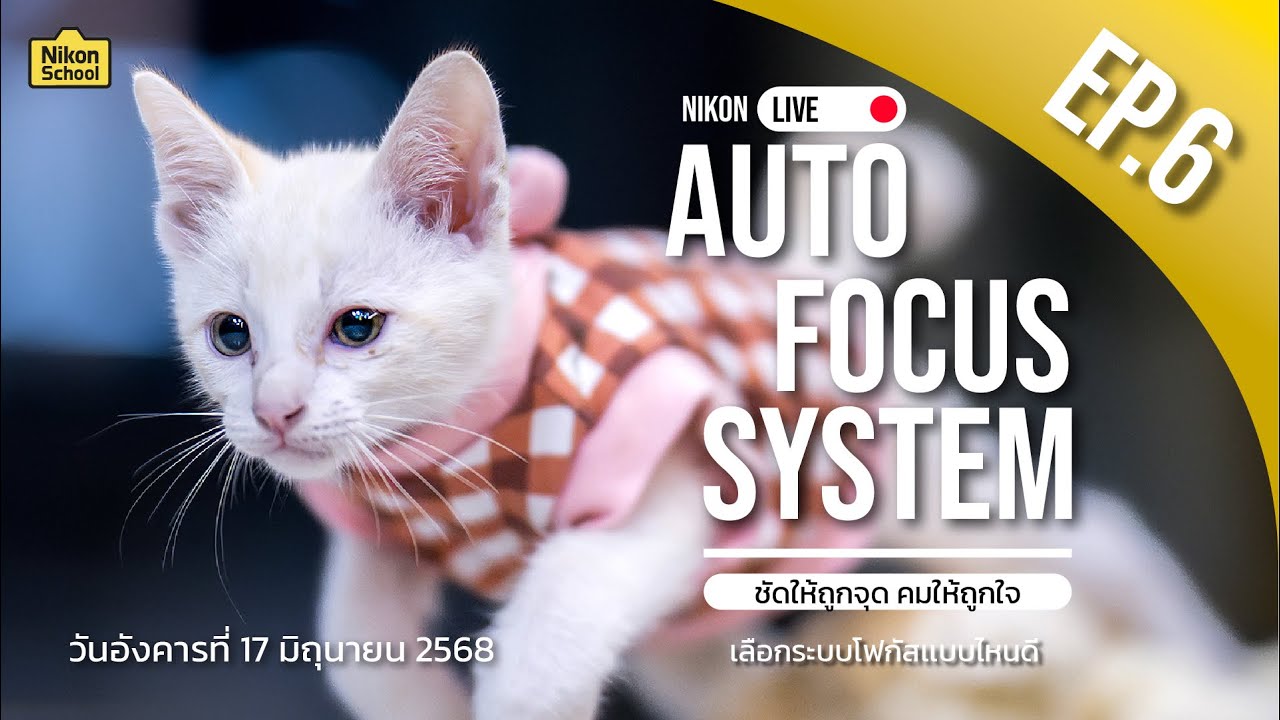 EP 6 : Nikon Live : Auto Focus System