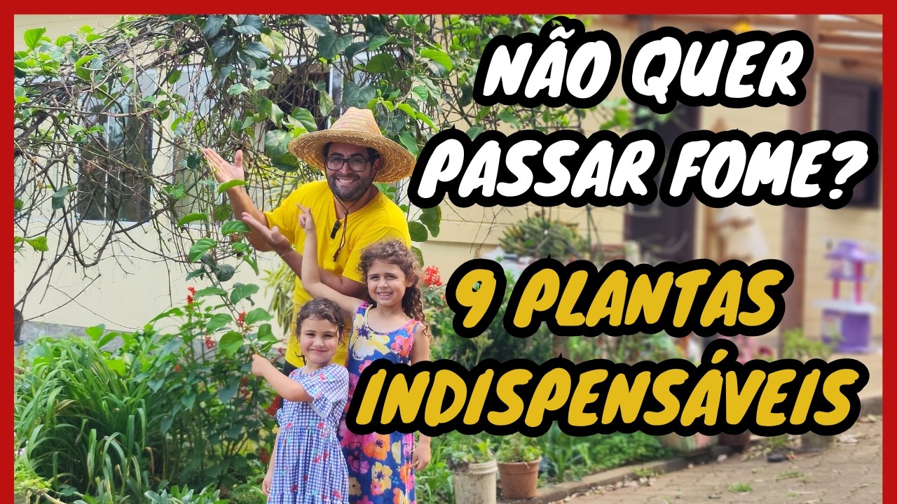 ✅ 9 PLANTAS que Não PODEM FALTAR na sua CASA