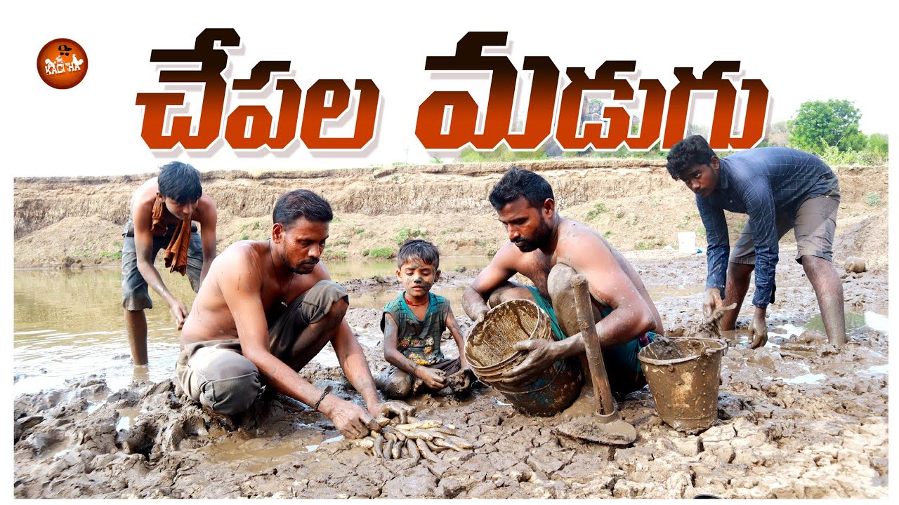 చేపల మడుగు ||fish hunting||village food||village fish dawath||kaccha dawath||dhoom dhaam channel
