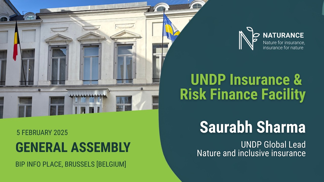 UNDP Insurance Risk Finance Facility