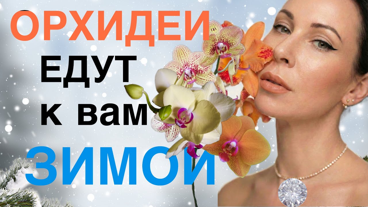 Распаковка🙌🏻что делаю с новой орхидеей- ПЕРЕСАЖИВАТЬ или НЕТ ⁉️