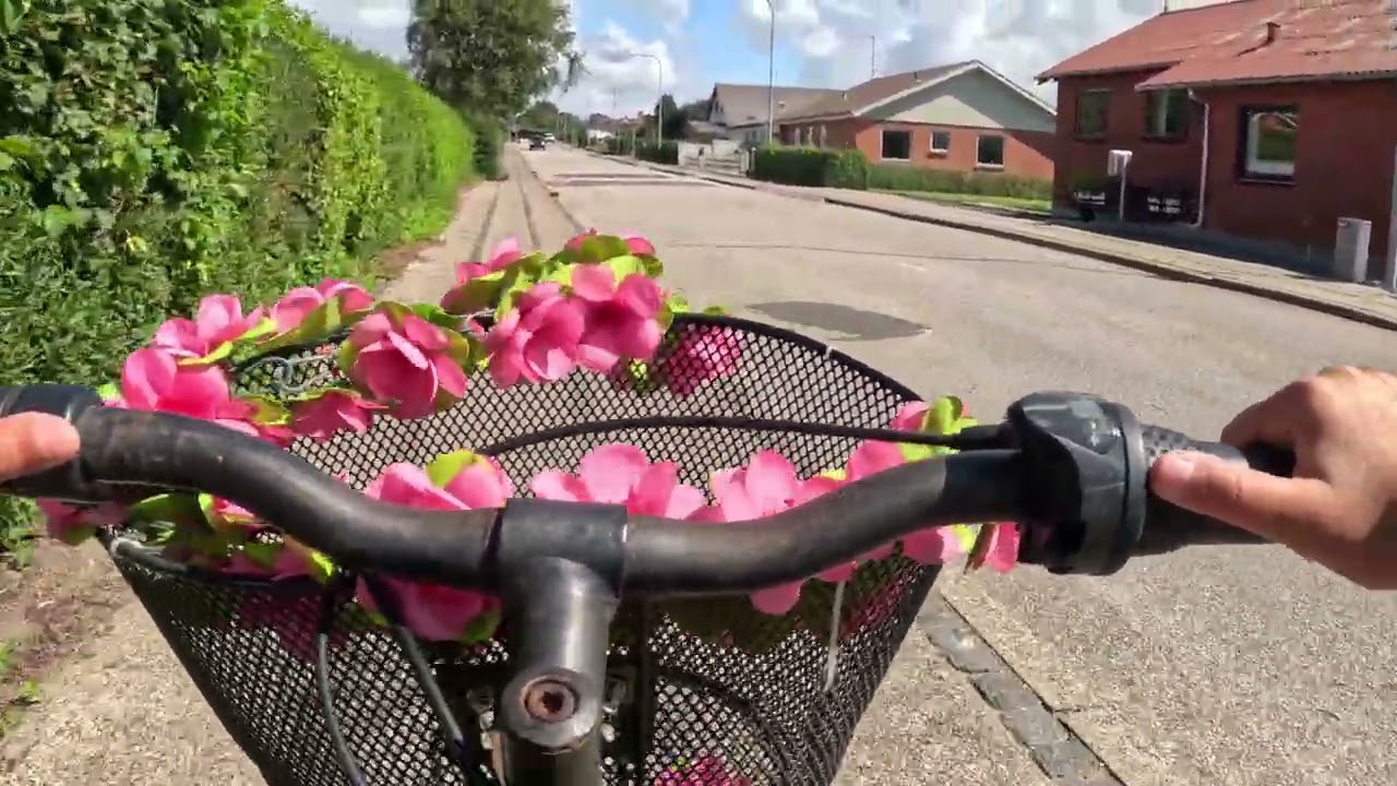 🚴‍♀️ Plimbare cu bicicleta prin Lem, Danemarca