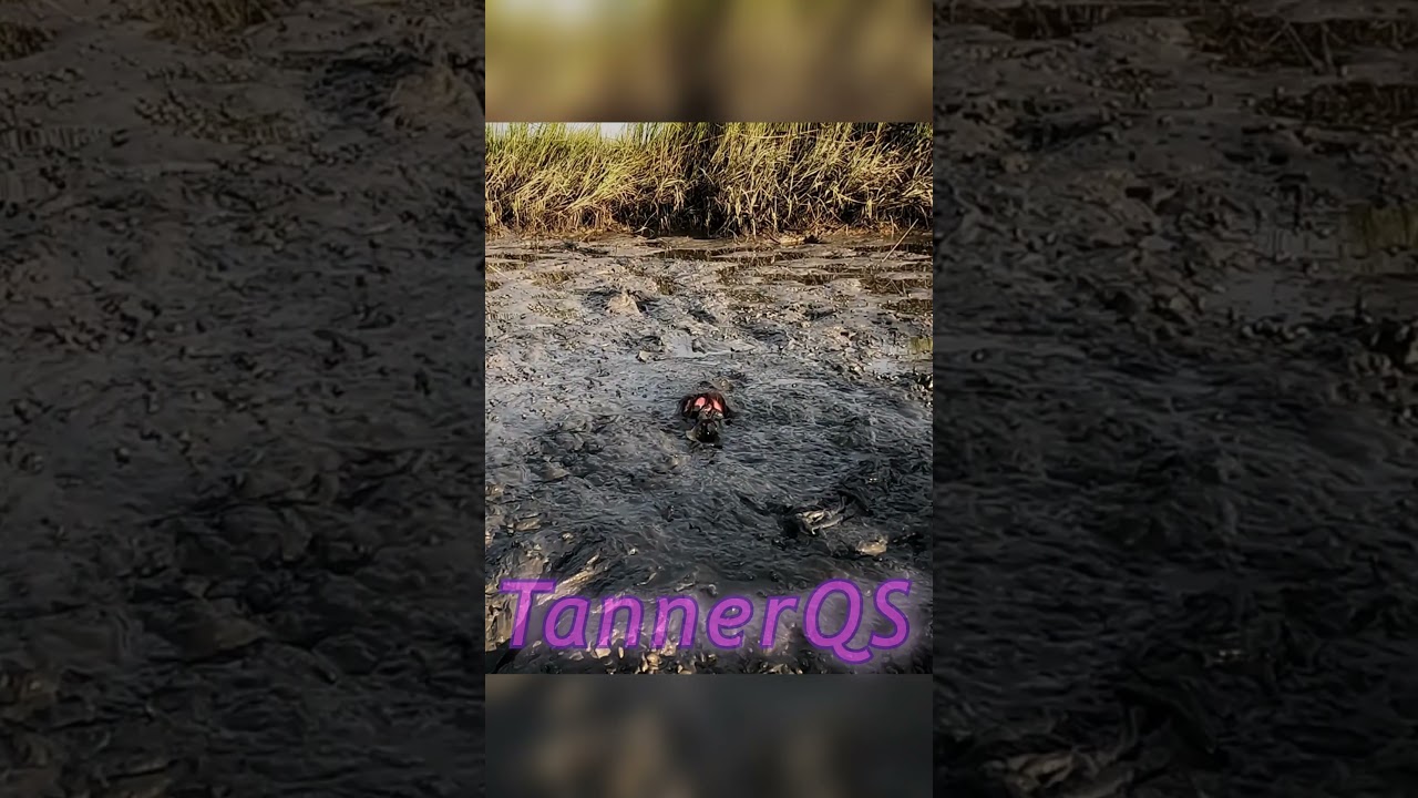 Almost submerging in tidal mud #quicksand