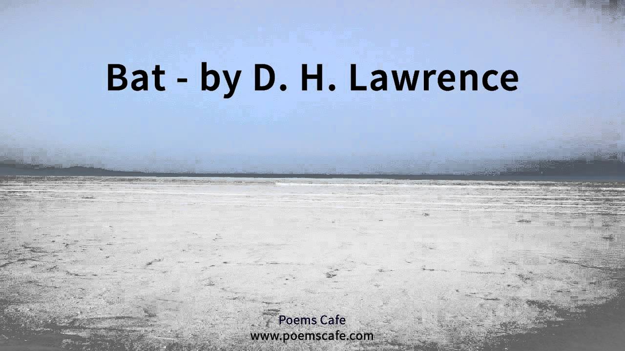 Bat   by D  H  Lawrence