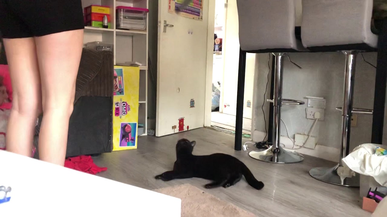 Sooty jumped so high