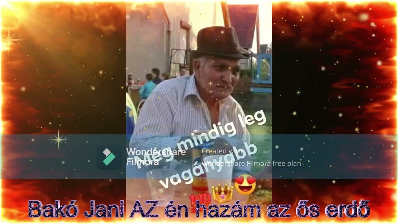Bakó Jani Az én hazám az ős erdő!!