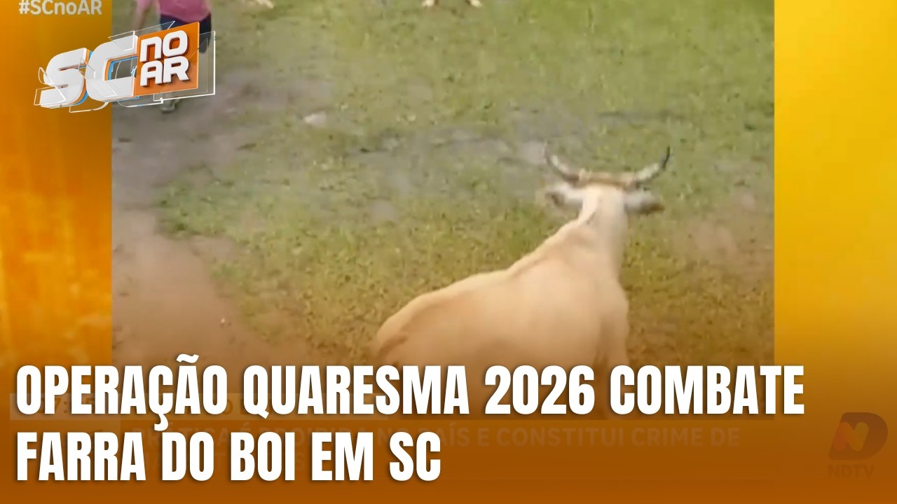 Opera&ccedil;&atilde;o Quaresma 2026 combate farra do boi em SC