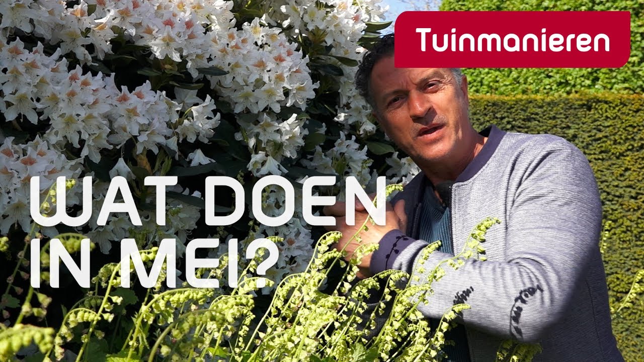 Wat doe je in de tuin in mei? | Lente | Tuinmanieren