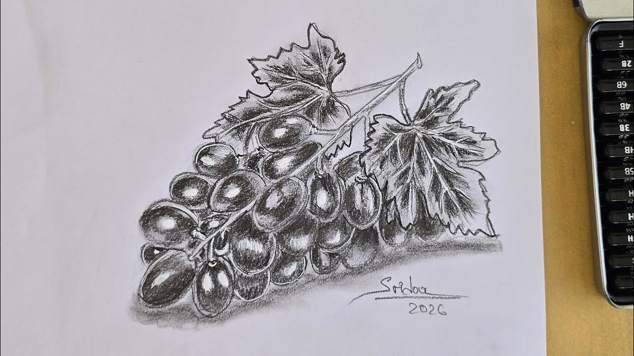 Easy grapes drawing