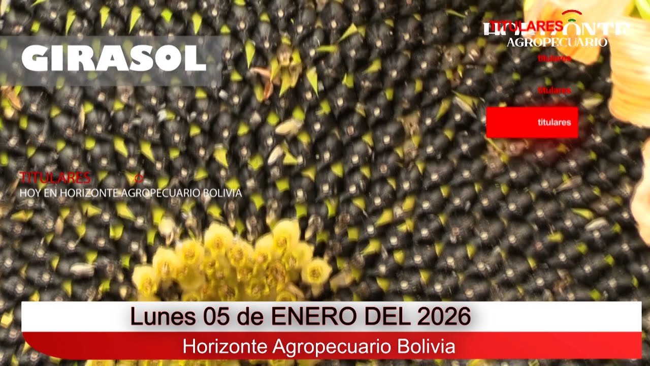 Horizonte Agropecuario Bolivia 05 01 26